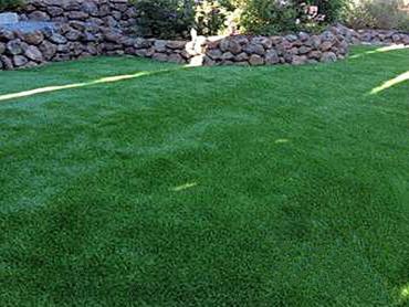 Artificial Grass Photos: Artificial Grass Carpet Plain City, Ohio Dog Grass, Backyard Makeover