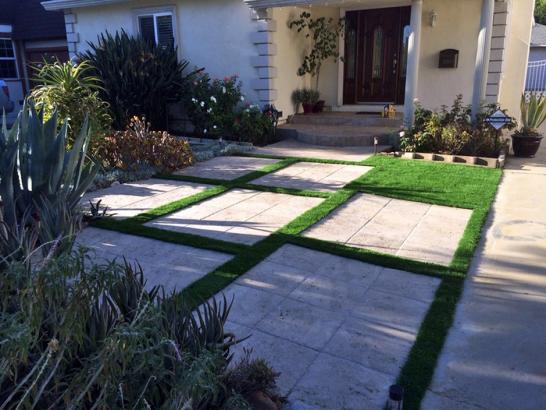 Artificial Grass Photos: Artificial Grass Installation Glendale, Ohio Gardeners, Front Yard Landscape Ideas
