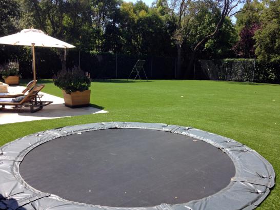 Artificial Grass Photos: Artificial Grass South Bloomfield, Ohio Lawn And Landscape, Swimming Pool Designs