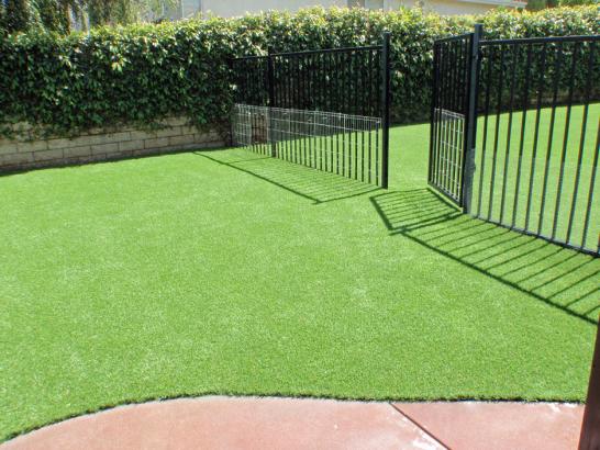 Artificial Grass Photos: Artificial Lawn North Bend, Ohio Dog Pound, Front Yard Ideas