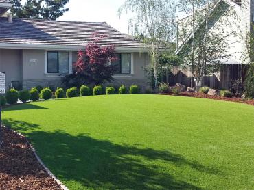 Artificial Grass Photos: Artificial Turf Coshocton, Ohio Lawn And Garden, Landscaping Ideas For Front Yard