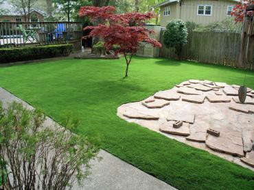 Artificial Grass Photos: Artificial Turf Cost Lexington, Ohio Home And Garden, Backyards