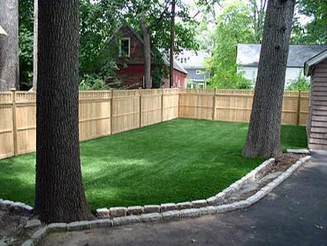 Artificial Grass Photos: Artificial Turf Cost Lincoln Heights, Ohio Indoor Dog Park, Backyard Designs