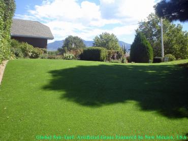 Artificial Grass Photos: Artificial Turf Cost Parma, Ohio Landscape Rock, Beautiful Backyards