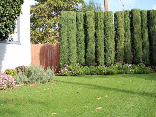Artificial Grass Photos: Artificial Turf Cost Thornport, Ohio Landscape Design, Landscaping Ideas For Front Yard