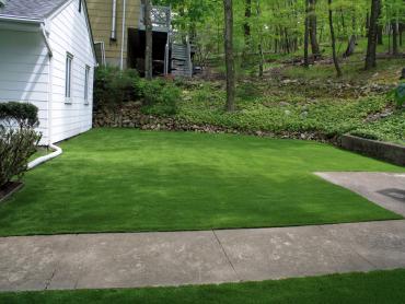 Artificial Grass Photos: Artificial Turf Installation Clyde, Ohio Home And Garden, Front Yard Design