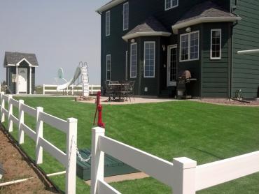 Artificial Grass Photos: Artificial Turf Shaker Heights, Ohio, Front Yard Landscaping Ideas