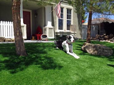 Artificial Grass Photos: Artificial Turf Willard, Ohio Fake Grass For Dogs, Front Yard Landscaping Ideas