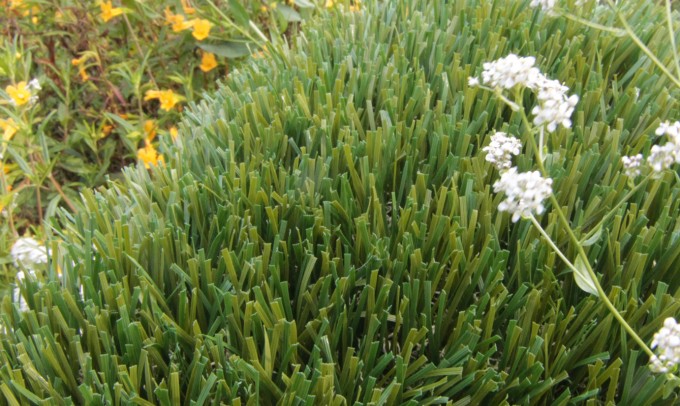Double S-72 syntheticgrass Artificial Grass  