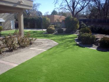 Artificial Grass Photos: Best Artificial Grass Barberton, Ohio Landscape Design, Front Yard Ideas