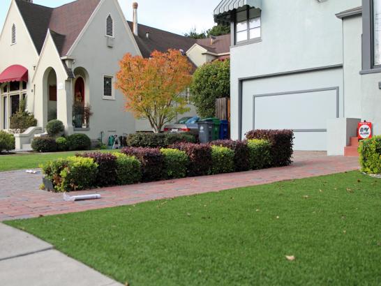 Artificial Grass Photos: Best Artificial Grass Payne, Ohio Lawn And Landscape, Front Yard Landscape Ideas