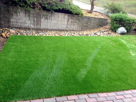 Artificial Grass Photos: Fake Grass Carpet Ashley, Ohio Home And Garden, Front Yard