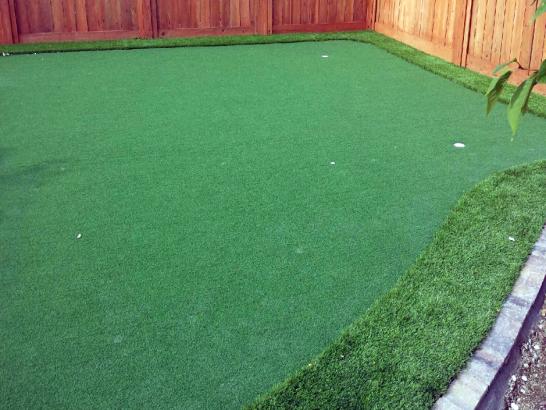 Artificial Grass Photos: Fake Grass Carpet Gnadenhutten, Ohio Backyard Playground, Backyard Landscaping Ideas