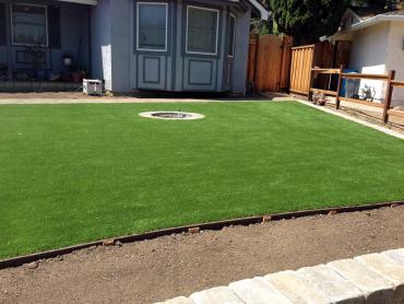 Artificial Grass Photos: Fake Grass Carpet Napoleon, Ohio Landscaping, Small Front Yard Landscaping