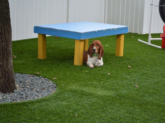 Artificial Grass Photos: Fake Grass Russellville, Ohio Hotel For Dogs,  Dog Kennels