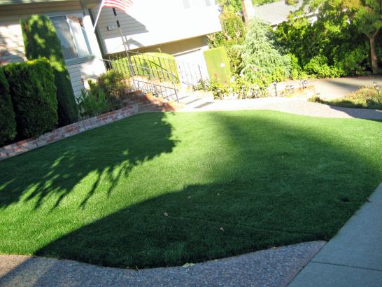 Artificial Grass Photos: Fake Lawn Camden, Ohio Landscape Ideas, Small Front Yard Landscaping