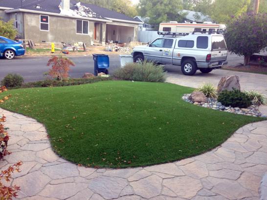 Artificial Grass Photos: Fake Lawn Holland, Ohio Rooftop, Front Yard Landscaping Ideas