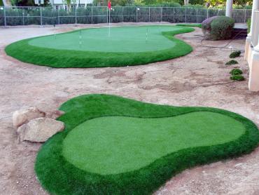 Artificial Grass Photos: Grass Carpet Mount Carmel, Ohio Best Indoor Putting Green, Small Front Yard Landscaping
