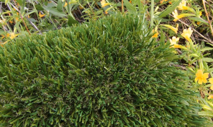 Double S-72 syntheticgrass Artificial Grass  