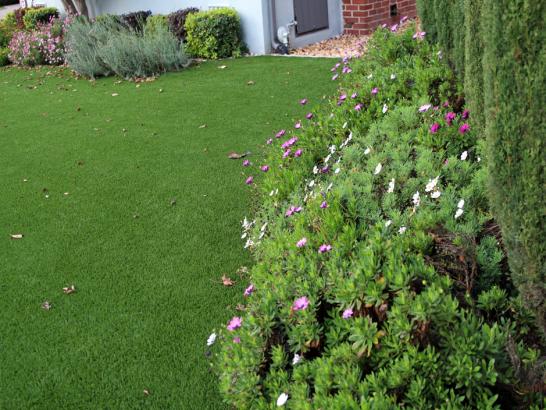 Artificial Grass Photos: Grass Turf Neffs, Ohio Lawn And Garden, Front Yard Design