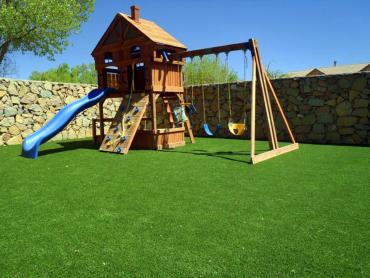 Artificial Grass Photos: Grass Turf Ottawa Hills, Ohio Playground, Backyard Makeover