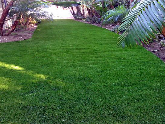 Artificial Grass Photos: Green Lawn Wakeman, Ohio Gardeners, Backyard Landscape Ideas
