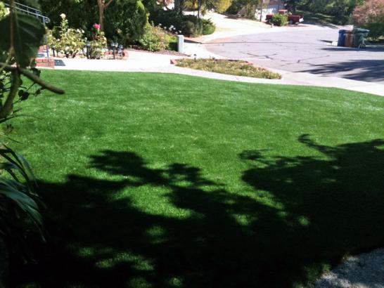 Artificial Grass Photos: Installing Artificial Grass Elida, Ohio Gardeners, Front Yard Landscape Ideas