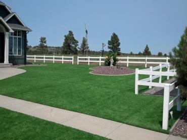 Artificial Grass Photos: Lawn Services Lake Darby, Ohio Landscape Ideas, Front Yard Ideas