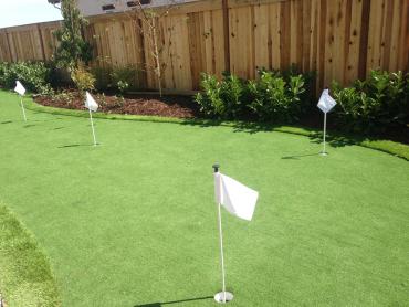 Artificial Grass Photos: Lawn Services Ross, Ohio Office Putting Green, Backyard Landscaping Ideas
