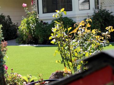 Artificial Grass Photos: Outdoor Carpet Gibsonburg, Ohio Gardeners, Front Yard Ideas