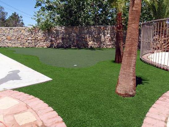 Outdoor Carpet Liberty Center, Ohio Landscaping Business, Small Backyard Ideas artificial grass