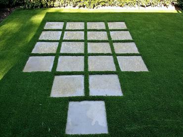 Artificial Grass Photos: Outdoor Carpet Lodi, Ohio Lawns, Small Backyard Ideas
