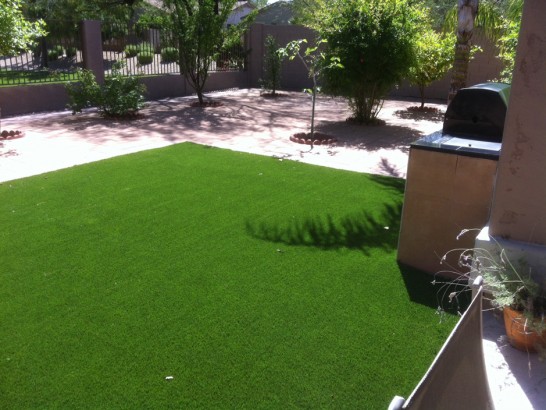 Artificial Grass Photos: Plastic Grass Lansing, Ohio Landscaping, Dogs