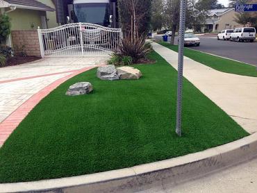 Artificial Grass Photos: Plastic Grass Northwood, Ohio Rooftop, Front Yard Design