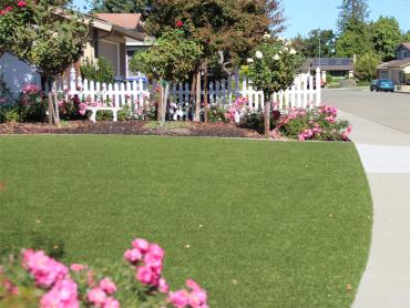 Artificial Grass Photos: Synthetic Grass Cost Byesville, Ohio Landscape Photos, Small Front Yard Landscaping