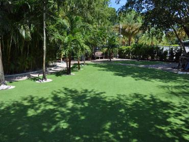 Artificial Grass Photos: Synthetic Grass Cost Finneytown, Ohio Landscape Design, Commercial Landscape