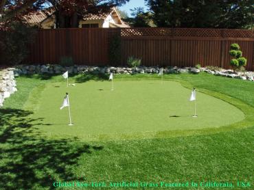 Artificial Grass Photos: Synthetic Grass Cost Lorain, Ohio Golf Green, Small Backyard Ideas