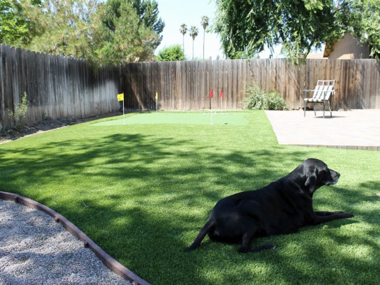 Artificial Grass Photos: Synthetic Grass Cost Racine, Ohio Artificial Grass For Dogs, Beautiful Backyards