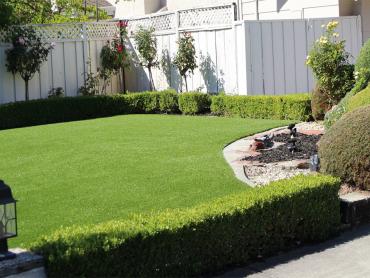 Artificial Grass Photos: Synthetic Grass Cost Williamsburg, Ohio Home And Garden, Front Yard Landscaping Ideas