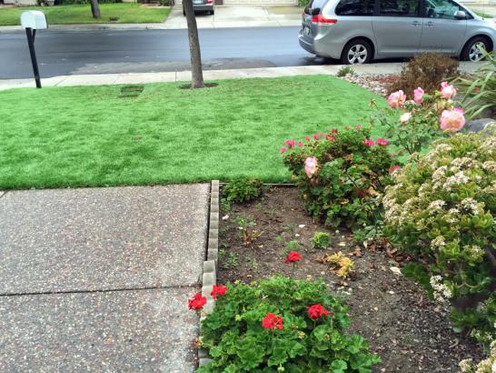 Artificial Grass Photos: Synthetic Grass Logan Elm Village, Ohio Landscaping Business, Front Yard Design