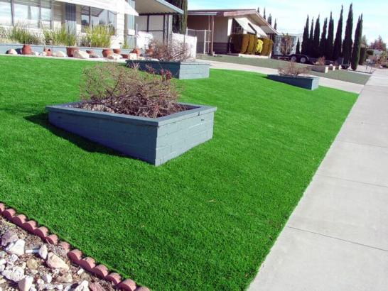 Artificial Grass Photos: Synthetic Grass Sycamore, Ohio Landscape Photos, Landscaping Ideas For Front Yard