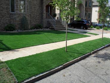 Artificial Grass Photos: Synthetic Grass Upper Sandusky, Ohio City Landscape, Front Yard Landscape Ideas