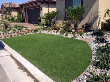 Artificial Grass Photos: Synthetic Lawn Trenton, Ohio Lawns, Small Front Yard Landscaping