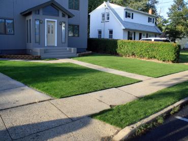 Artificial Grass Photos: Synthetic Lawn Wellington, Ohio Roof Top, Front Yard Design