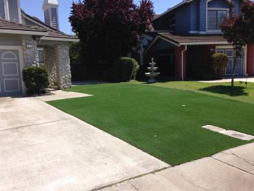 Artificial Grass Photos: Synthetic Turf East Liverpool, Ohio Garden Ideas, Landscaping Ideas For Front Yard