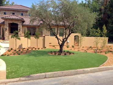 Artificial Grass Photos: Synthetic Turf Franklin, Ohio Paver Patio, Front Yard Ideas