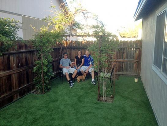 Artificial Grass Photos: Synthetic Turf Supplier Curtice, Ohio Landscaping Business, Dogs Park
