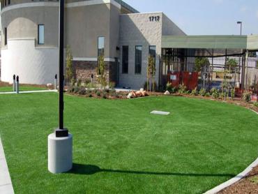 Artificial Grass Photos: Synthetic Turf Supplier Madison, Ohio Home And Garden, Commercial Landscape