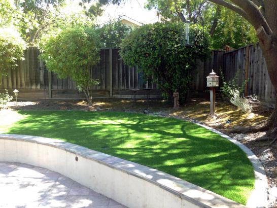Artificial Grass Photos: Synthetic Turf Supplier Plymouth, Ohio Landscaping Business, Commercial Landscape
