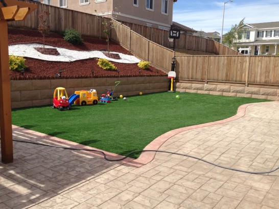 Artificial Grass Photos: Synthetic Turf Supplier Proctorville, Ohio Lacrosse Playground, Beautiful Backyards